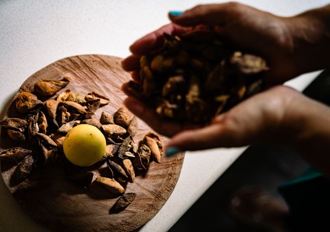 mains tenant des graines