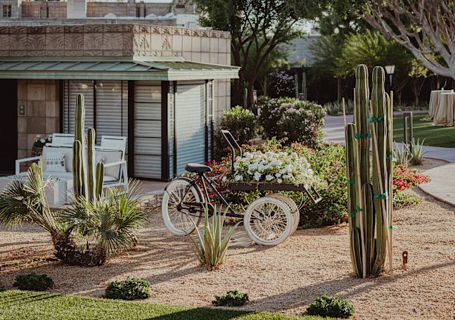 Environnement extérieur du complexe