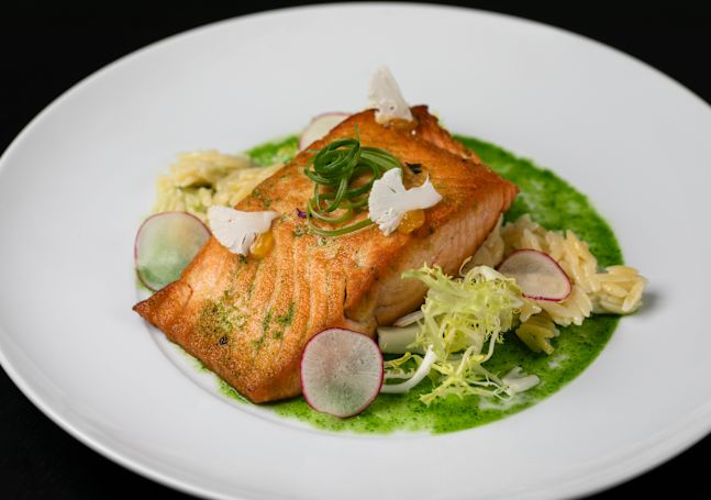 Salmon Dish with Sauce on a White Plate
