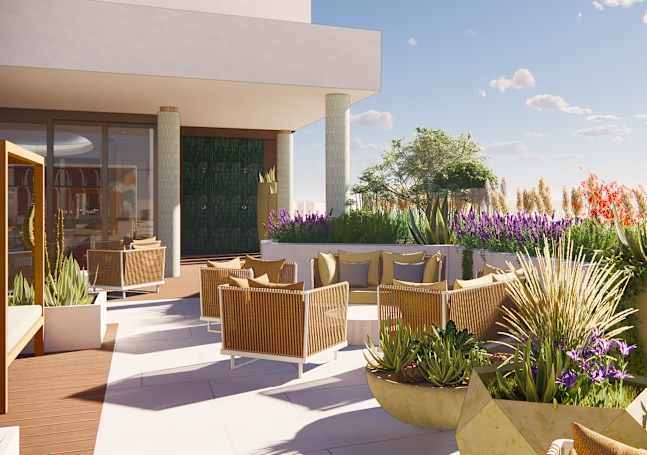 Rooftop Terrace with Plants