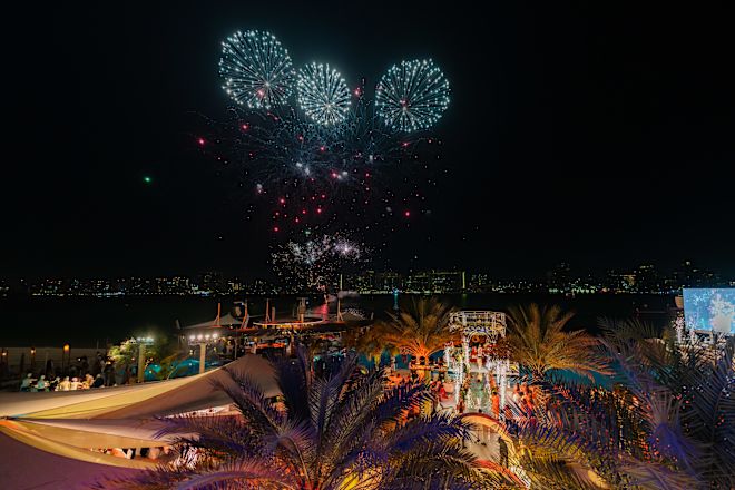ヤシの木と水に囲まれたエリアでの夜の花火鑑賞