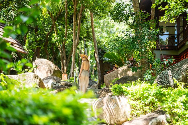 a Woman Walking on an Area with Trees and Rocks