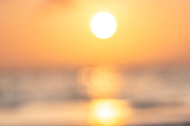 Schildkröte am Strand