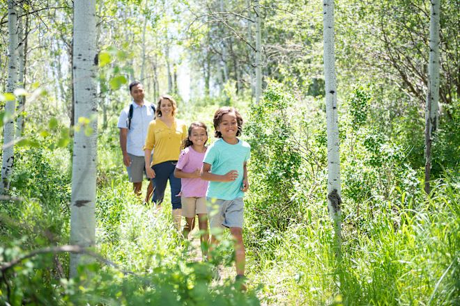 A Family Going on a Hiking Adventure on a Sunny Day