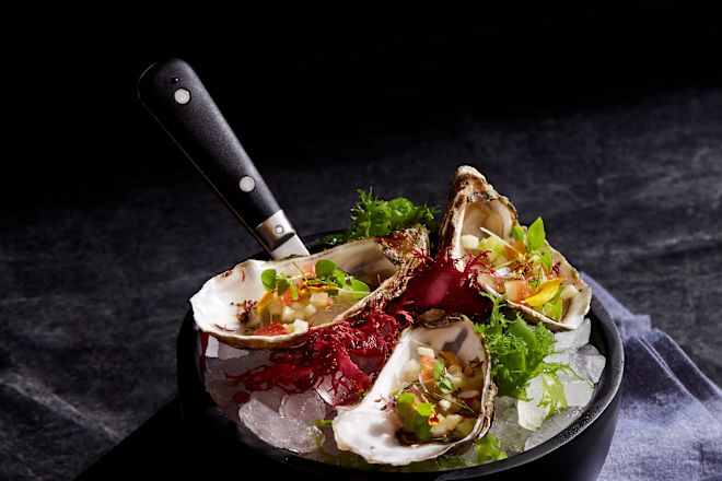 Oysters Dish at Diplomat Bar
