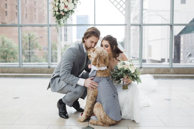 wedding couple kissing a dog