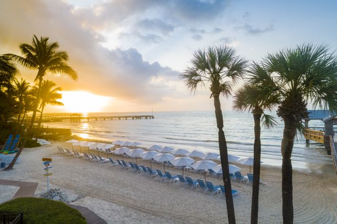Aerial View of the Beach with Palm Trees and Lounge Chairs under Umbrellas at Sunset