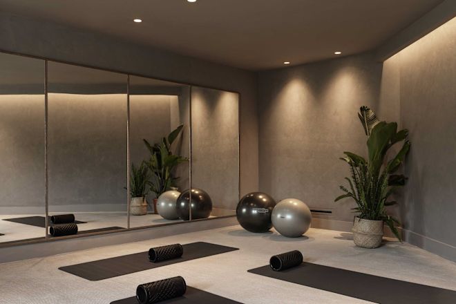 Fitness studio with mats and plant