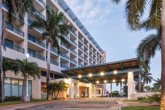 Lit Entrance of Hilton Hotel Surrounded by Palm Trees