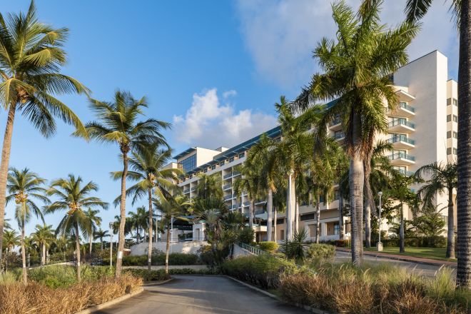 Palm Trees on Walkway and View of Hilton Hotel Exterior