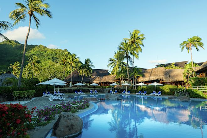 ヤシの木と椅子を備えた広い屋外プールエリア