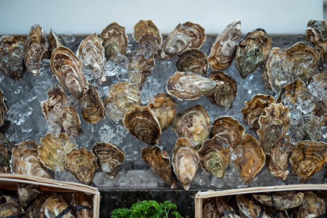 Display of oysters on bed of ice