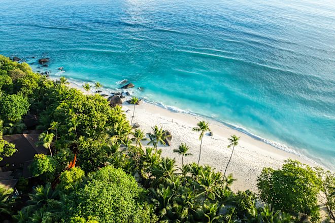 View of a Beach with Palm Trees and other Tropical Vegetation