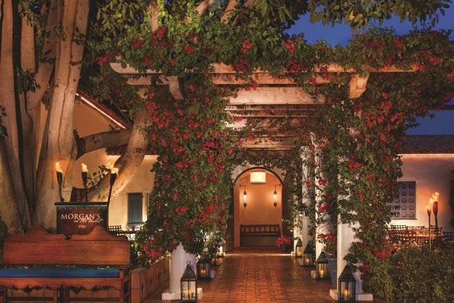 Morgan's in the Desert