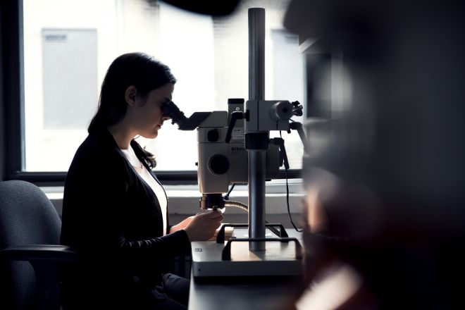 Gadis melihat ke mikroskop, membantu memulihkan barang untuk Waldorf Astoria New York