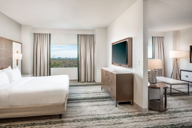 Suite with King Size Bed, TV, Lounge Area, and Outside View