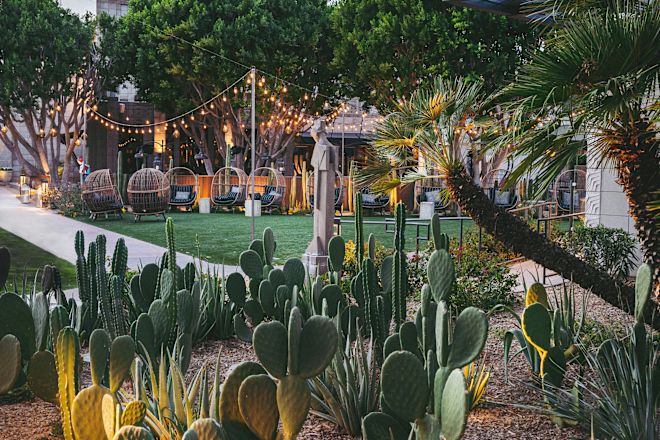 Patio area, with plants in foreground
