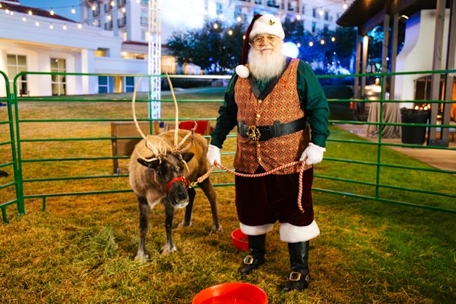 Imagem de férias da Reindeer