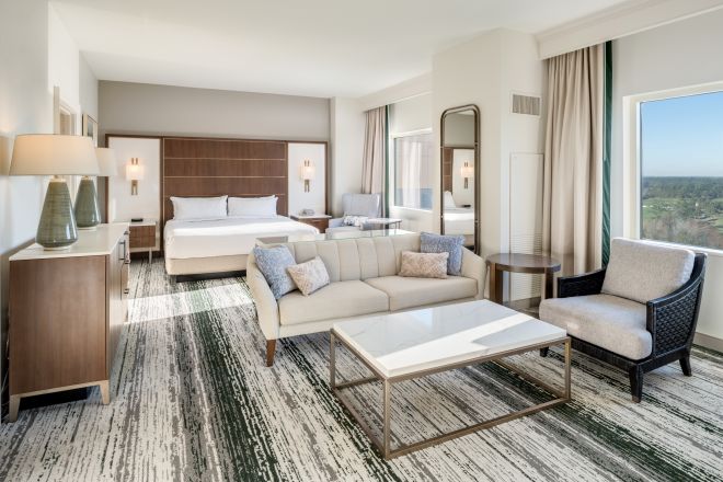 Suite with Bedroom and Living Room Area