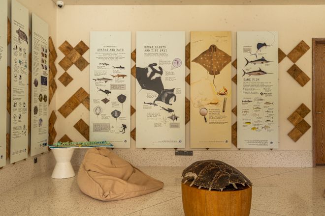 Ausstellung von Sea Life Postern an einer Wand im Lobbybereich