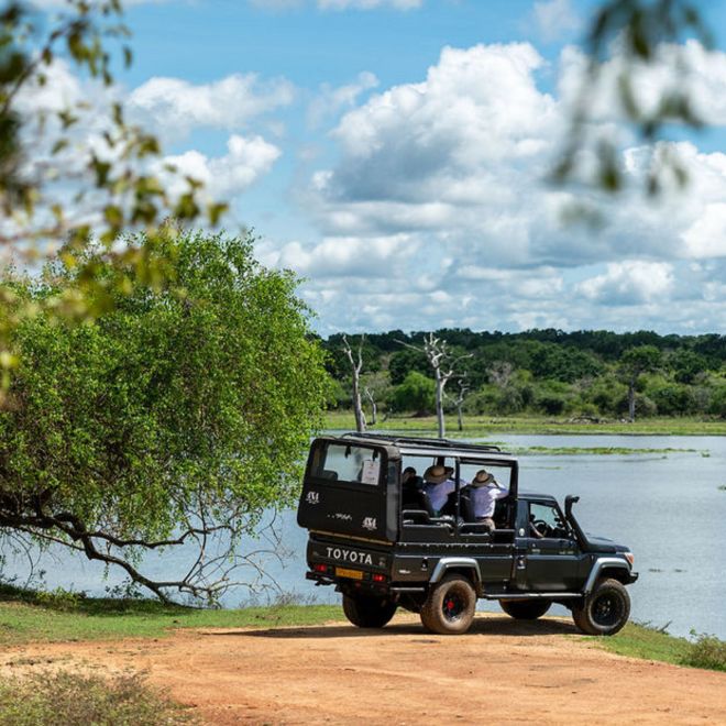 국립공원을 즐기는 지프의 사람들