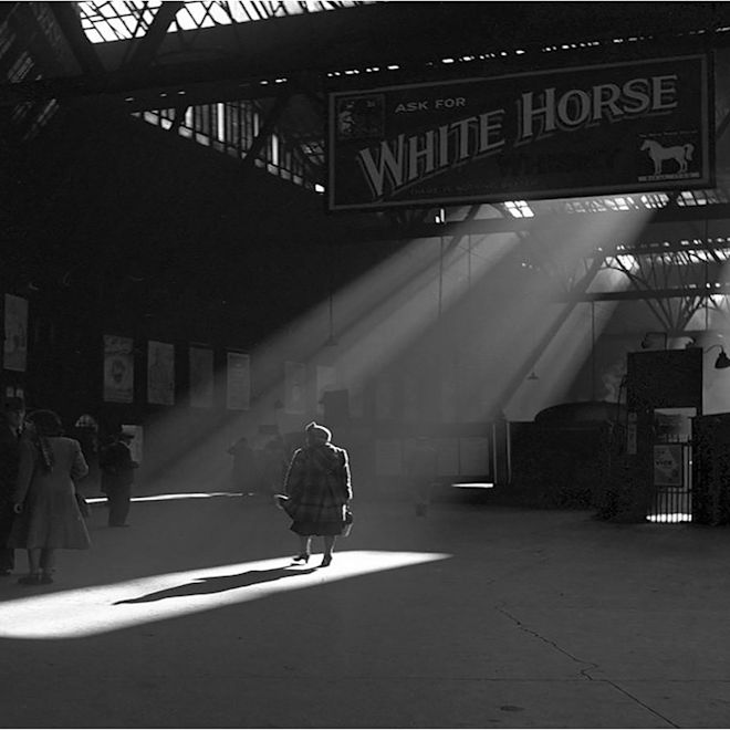 Shot of white horse sign in black and white