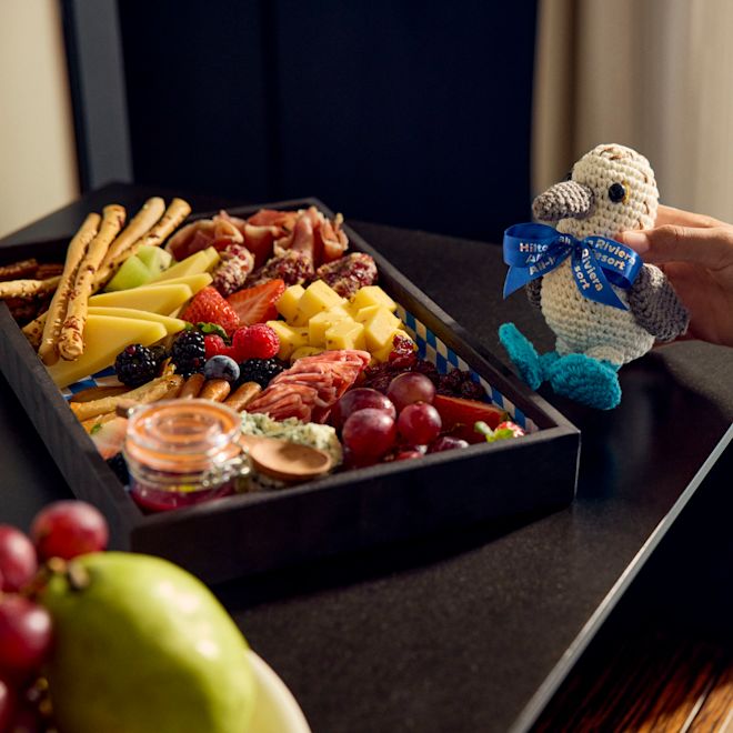 Niño jugando con un pájaro tejido al lado de una artículo de bienvenida de cortesía VIP con frutas, fiambres y quesos