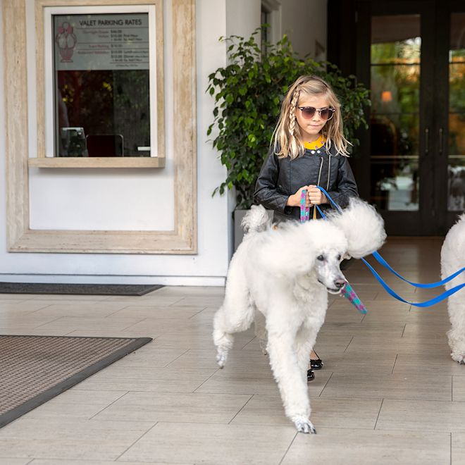 guest with her dogs in the hotel lobby