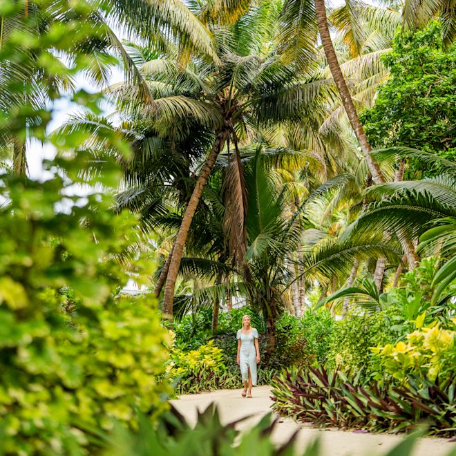 Gäste genießen Spaziergänge