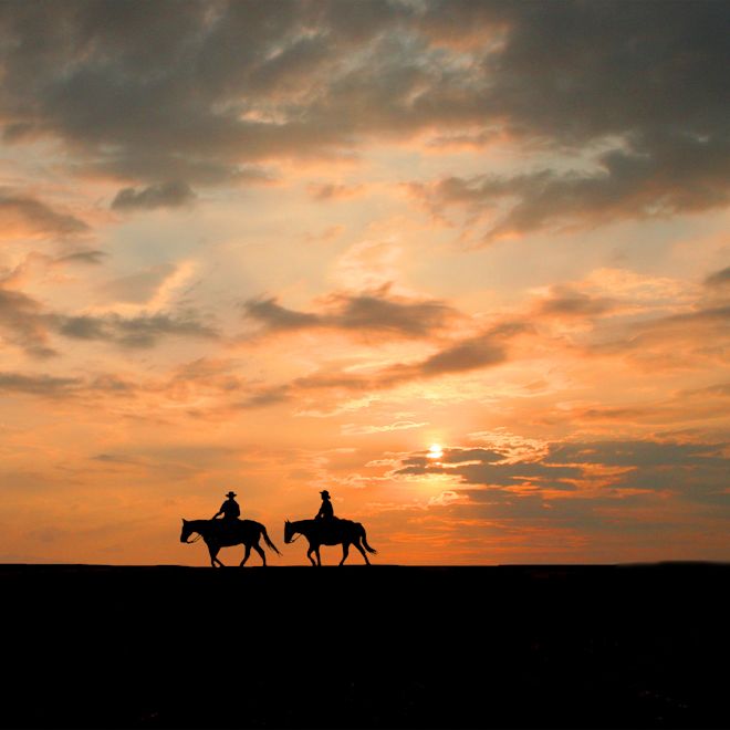 Cuplu călăreț care se plimbă la apus
