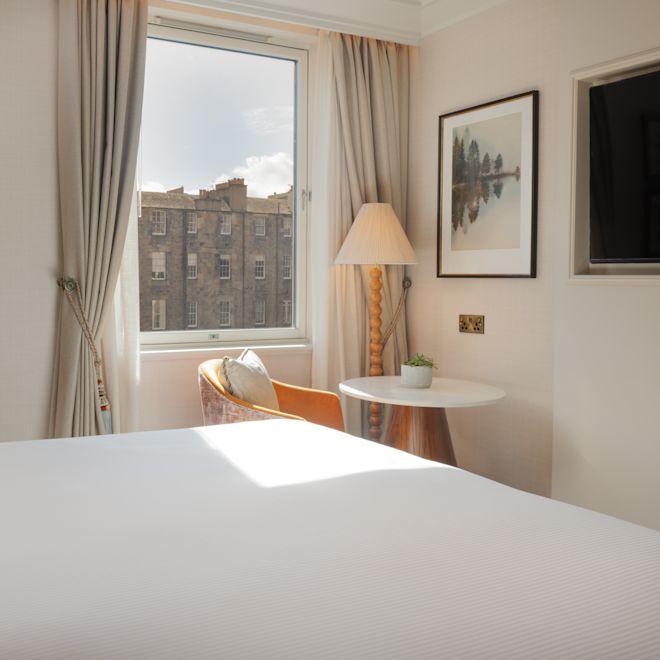 King Guestroom
