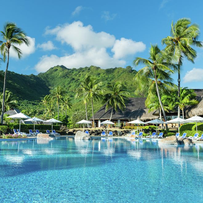 ヤシの木に囲まれた広い屋外プールエリア