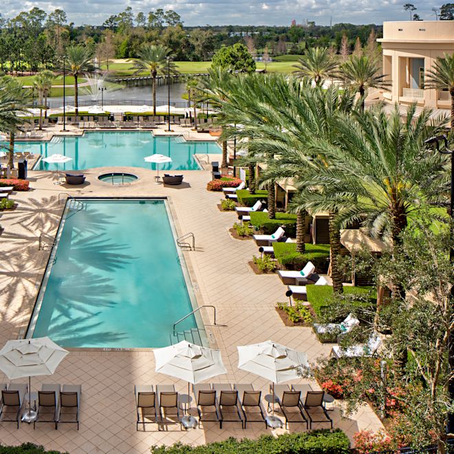 Kolam renang luar ruangan dengan pohon palem