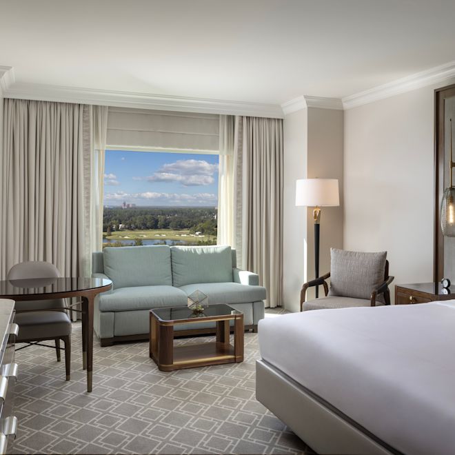 kamar tamu, 1 tempat tidur king, tv, meja kerja, sofa, pemandangan jendela taman