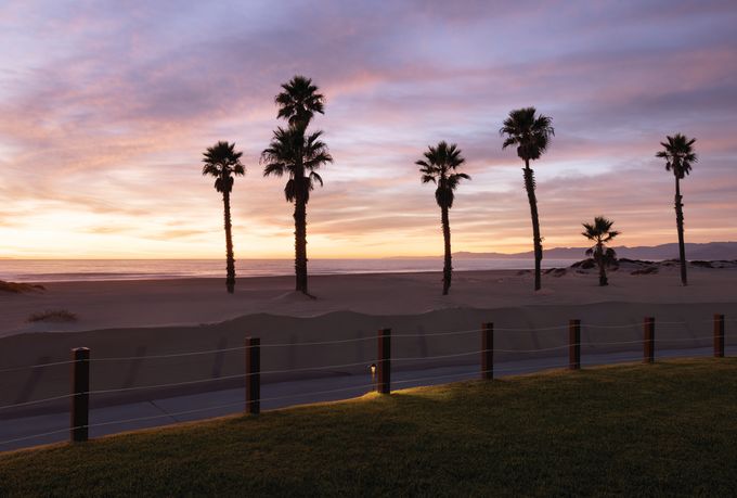 View of a Beach with Palm Trees at Sunset