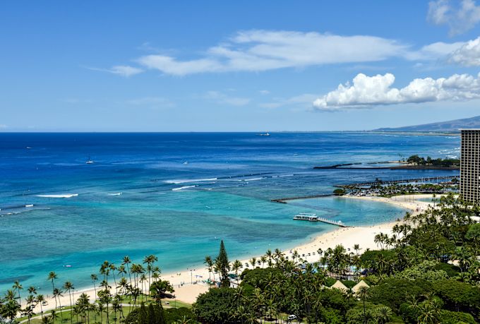 View of beach and trees