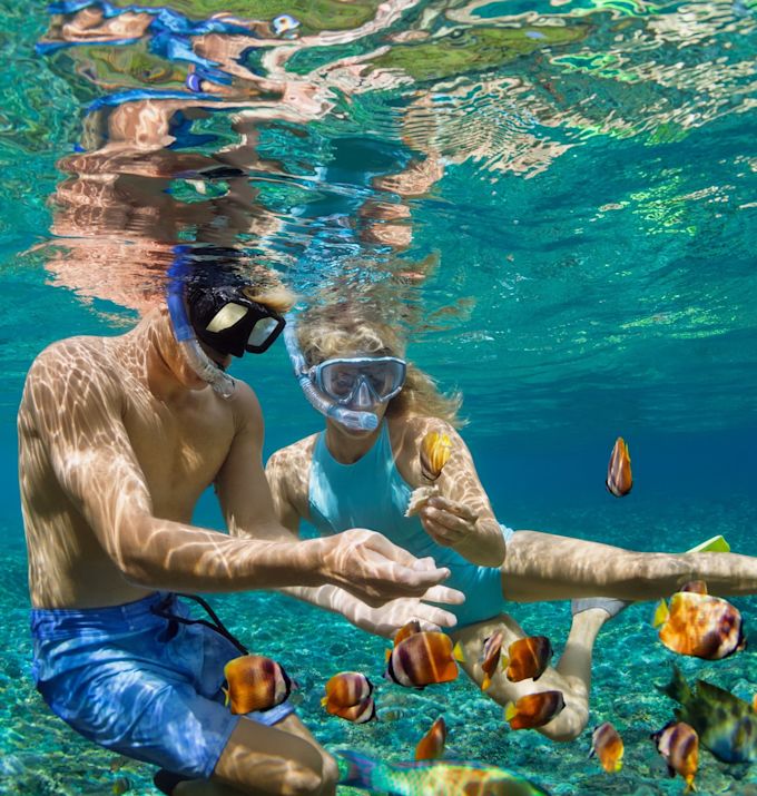 Küçük balıklarla su altında şnorkelle dalan çift