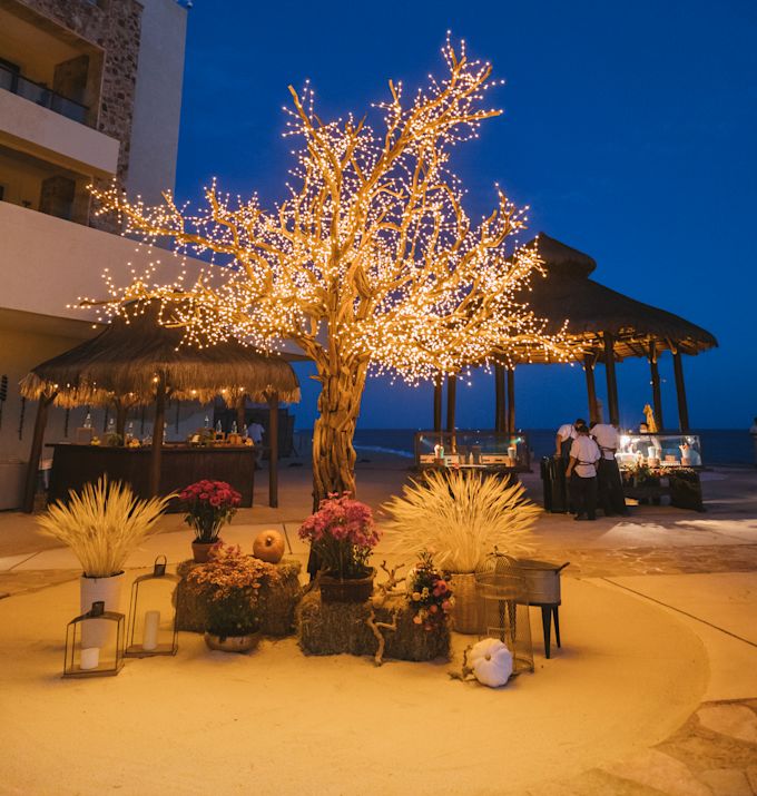 Exhibición de decoración para el Día de Acción de Gracias al aire libre