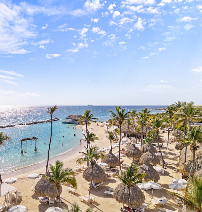 Lounge sandalyeleri ve Palmiye Ağaçları bulunan Plaj Alanı