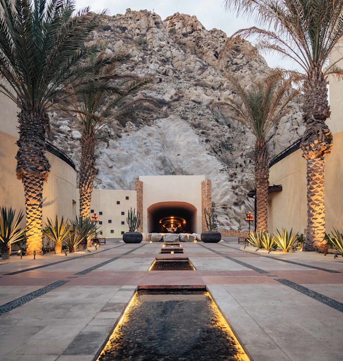 Patio al aire libre con palmeras y fuente