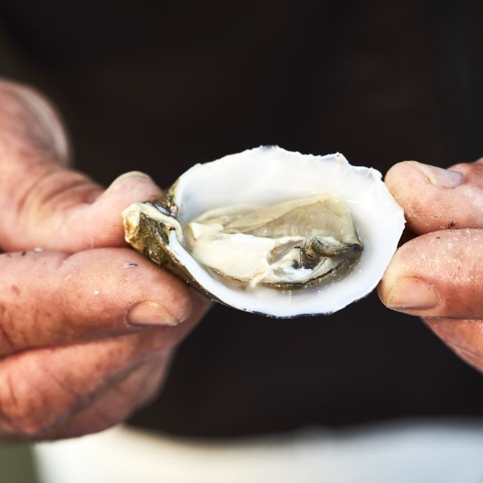 person holding oyster