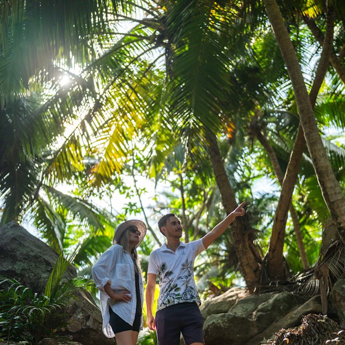 Couple Walking amid Palm Trees in a Tropical Paradise
