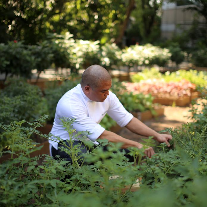 chef in garden