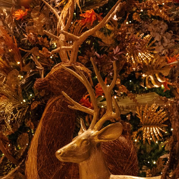 Großes Delikatessenhirsch