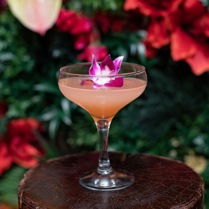 Close-up of pink cocktail with flower in glass