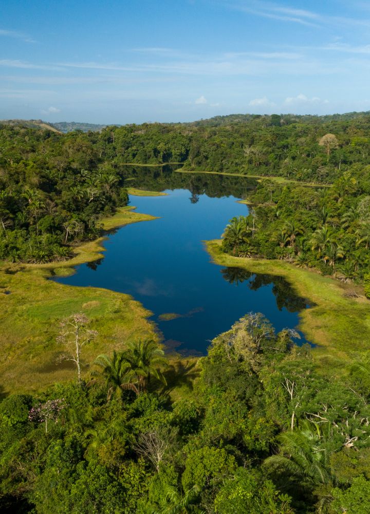 Photo aérienne de la forêt tropicale tropicale, du parc national de Soberania, du canal de Panama, du Panama