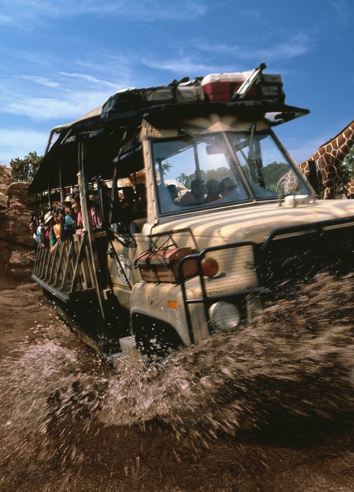 Disney’s Animal Kingdom®