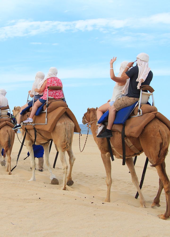 砂漠でラクダに乗るグループ