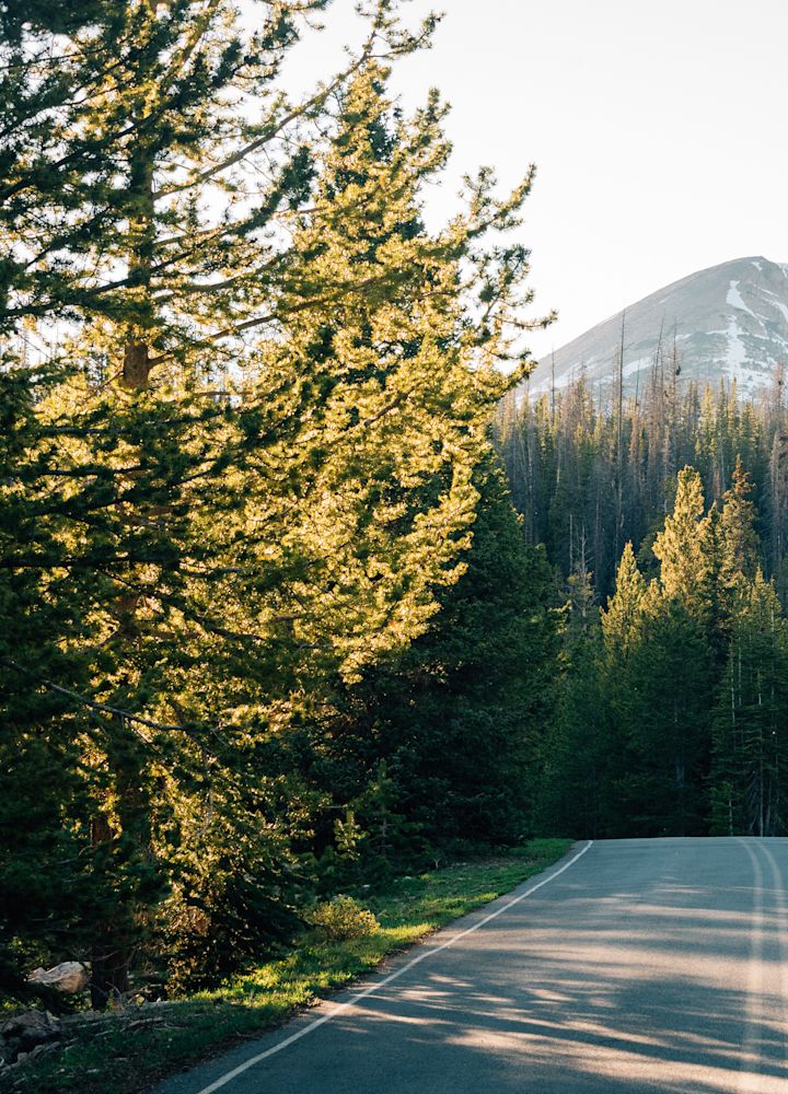 Road to Mirror Lake