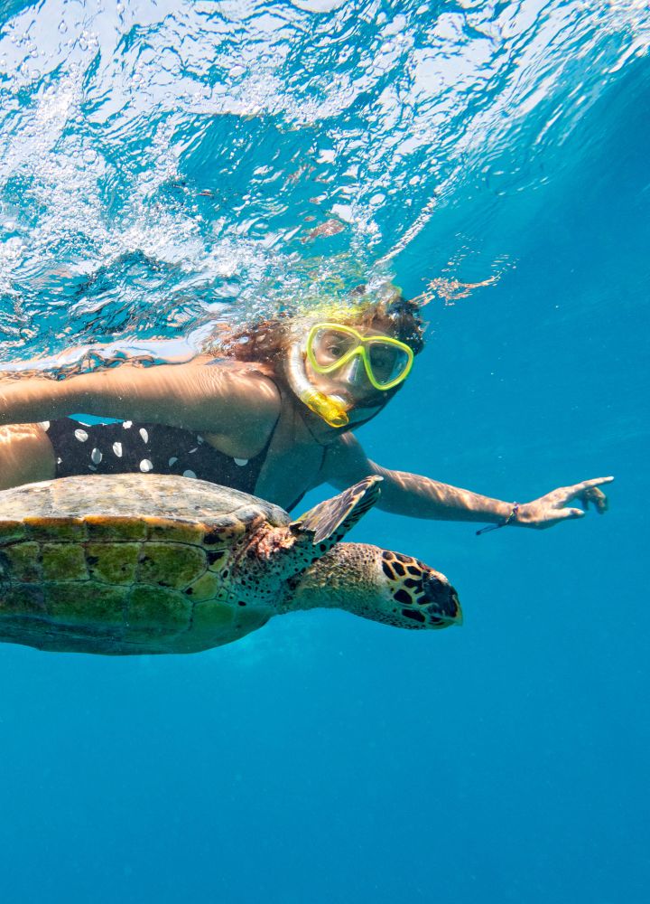 Person snorkeling with a sea turtle